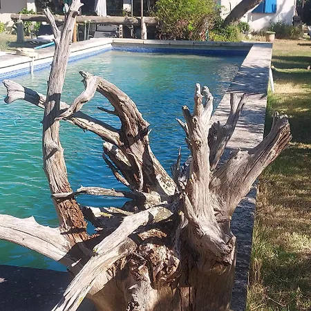 Bergerie D'alivon En Camargue
