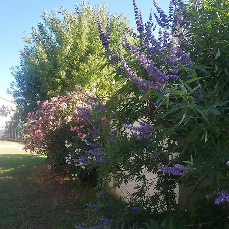 Bergerie D'alivon En Camargue ベッド・アンド・ブレックファスト