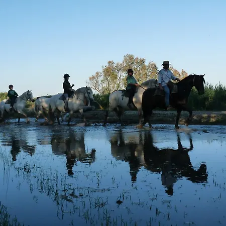 ベッド・アンド・ブレックファスト Bergerie D'alivon En Camargue
